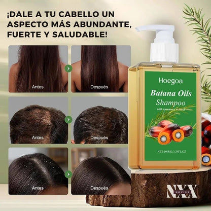 OFERTA 2 POR 1 | Champú Natural de Batana y Extracto de Romero