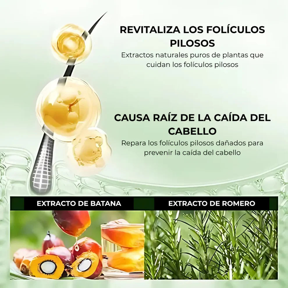 OFERTA 2 POR 1 | Champú Natural de Batana y Extracto de Romero