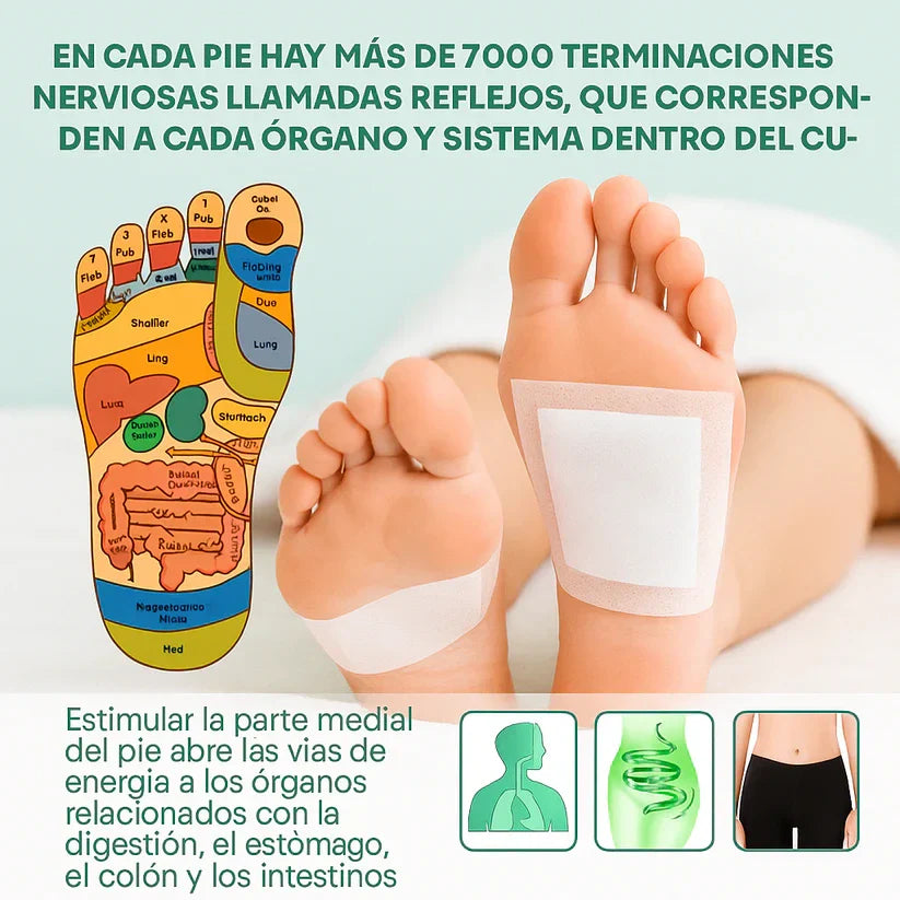 Lleva 2 y paga 1 I Parches Desintoxicantes