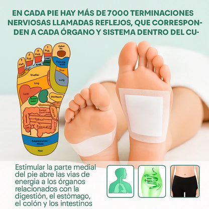 Lleva 2 y paga 1 I Parches Desintoxicantes