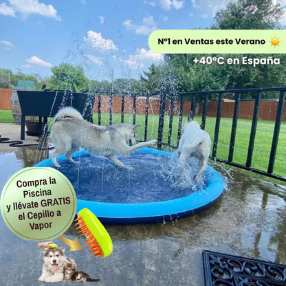 Piscina con Chorros + Cepillo GRATIS para tu peludo